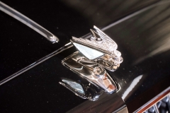 X-BENTLEYPhoto-0458