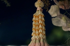 Event-ambienceLINE_ALBUM_15122567-BE_241216_65